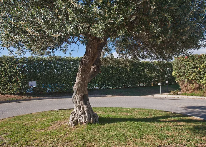 Club Stella Marina Sicilia 4* סקוליטי
